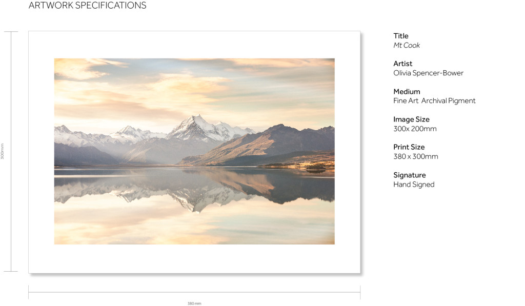 Artwork Specs-Mt Cook