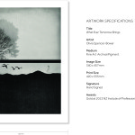 Artwork Specs