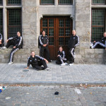 The NZ Paddle Ferns