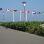 Flags in Denmark 2006